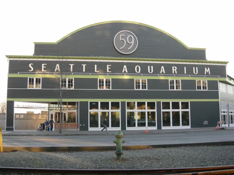 5 Awesome Things to Do in Seattle Aquarium